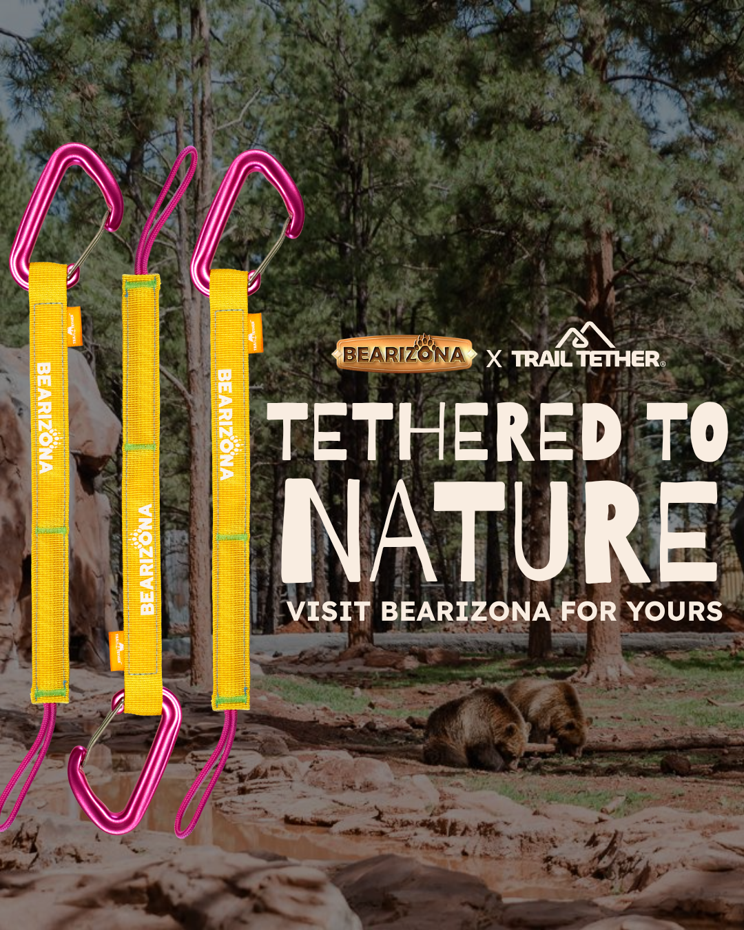 A Family Guide to Bearizona Wildlife Park: Big Animals, Bigger Adventures, and One Very Organized Car