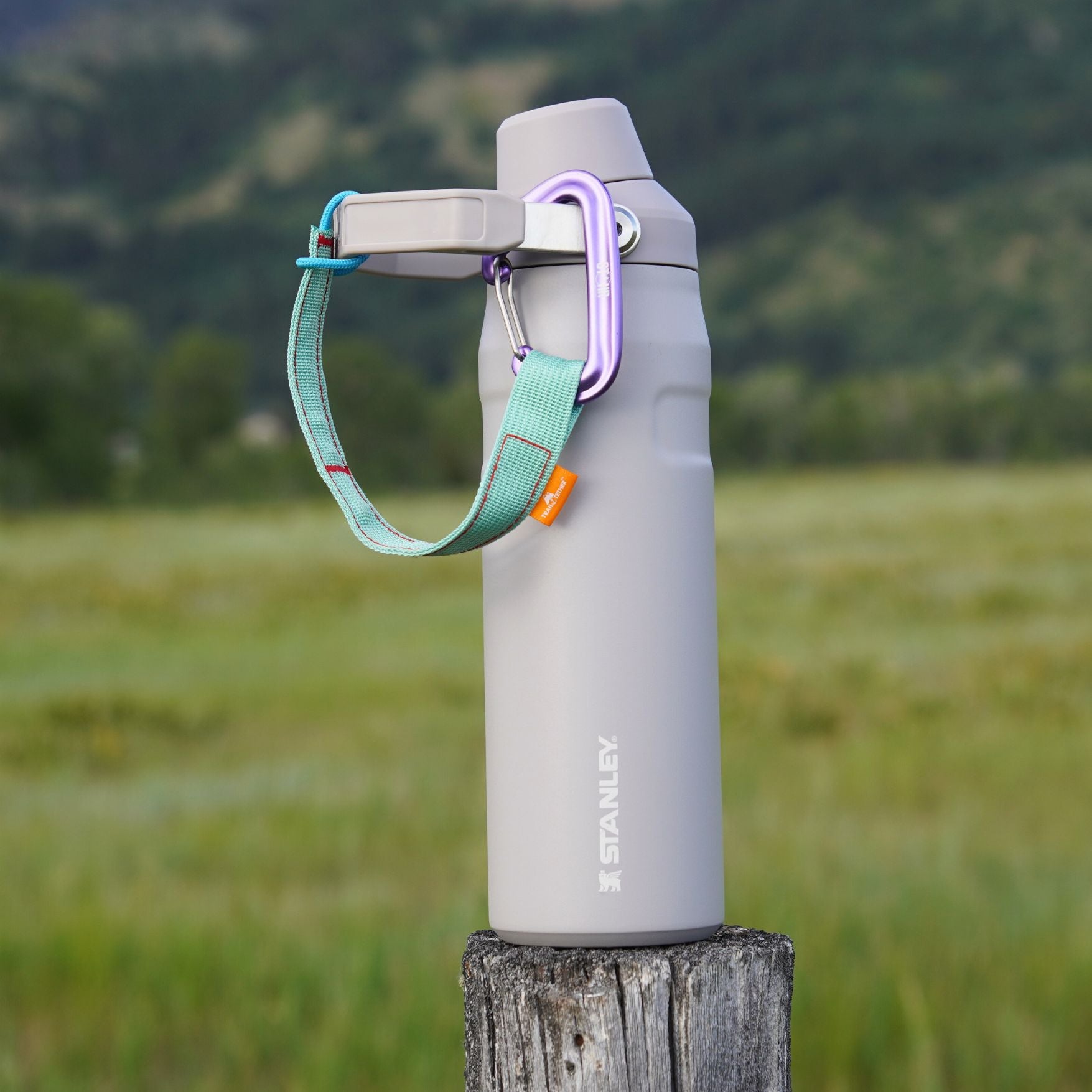 A Stanley water bottle in light gray stands on a wooden post in an outdoor grassy field, with a mint green trail tether featuring purple carabiner attached to the bottle handle