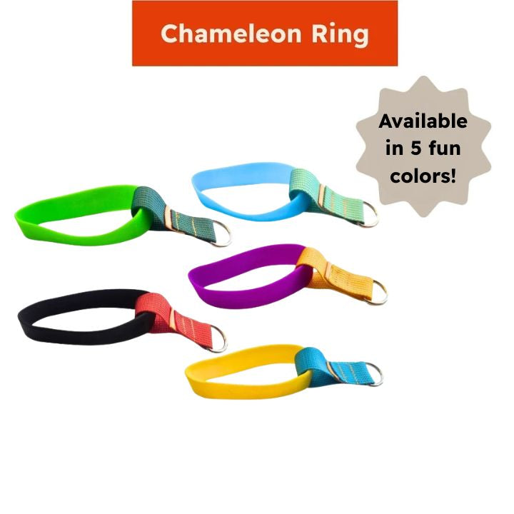 Starter Bundle for Adventurers